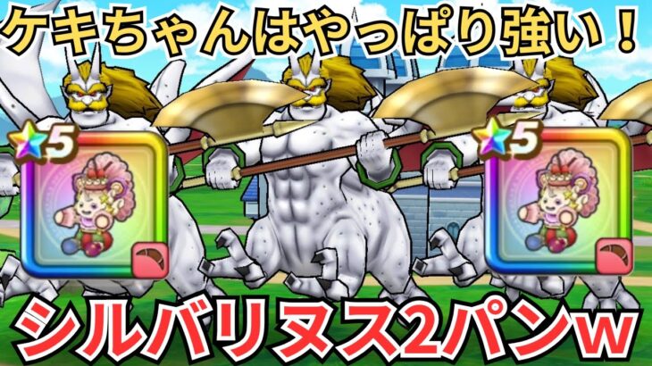 【ドラクエウォーク】これは強すぎるｗｗｗケキちゃん投入したらシルバリヌス2パンできたｗｗｗ