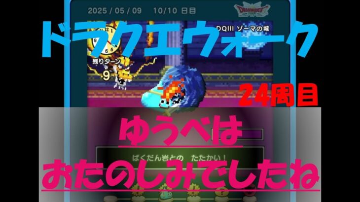 【ドラクエウォーク】ゆうべはおたのしみでしたね【24周目】