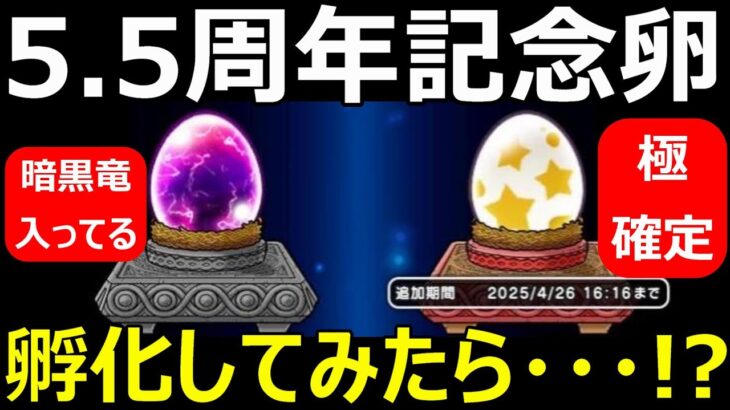 【ドラクエウォーク】5.5周年記念卵を孵化してみたら…！？【極確定卵＆魔王の卵】