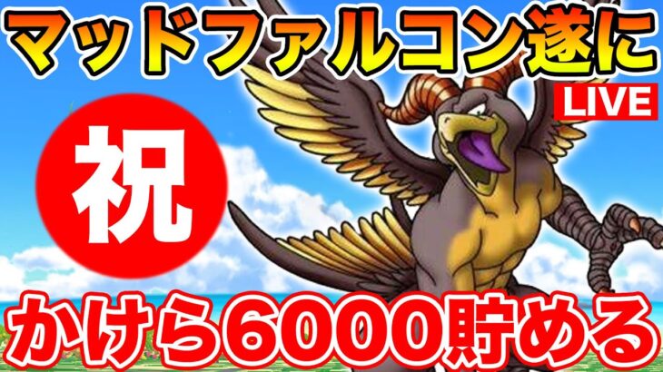 【速報】遂にマッドファルコンの地図が見つかる!!!! こころ性能…そしてタイミング…おっとここまでにしておこう。【DQW】