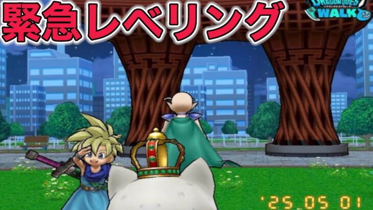 【ドラクエウォークLive】緊急でレベリングやってます