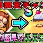 【ドラクエウォーク】期間限定チャンス！ＲeWALKスポット。ゼシカ竪琴でこころ集め！【dqw】【ドラクエ8】