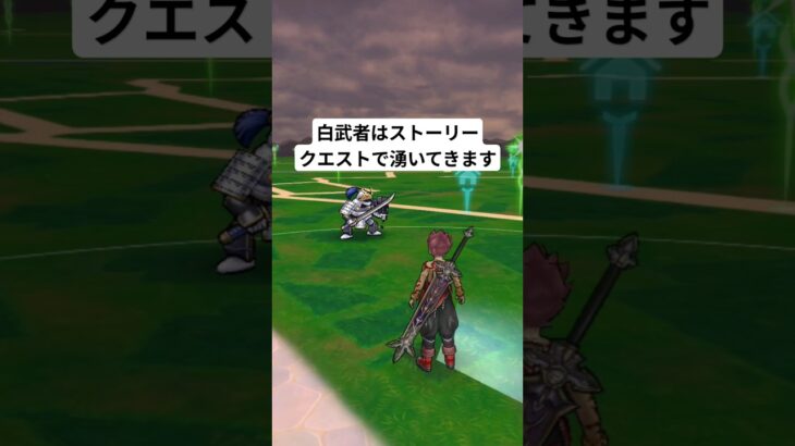 【ドラクエウォーク】白武者のこころを　集めよう