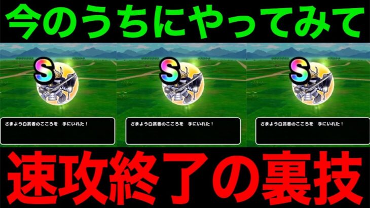 さまよう白武者速攻終了！この裏技今のうちにやってみてください【ドラクエウォーク】【ドラゴンクエストウォーク】