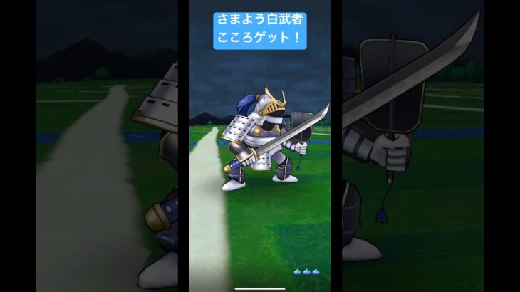 さまよう白武者出現。こころゲット！#ドラクエウォーク #さまよう白武者