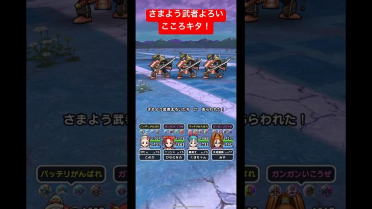 【さまよう武者よろい】こころキタ！#ドラクエウォーク #さまよう武者よろい