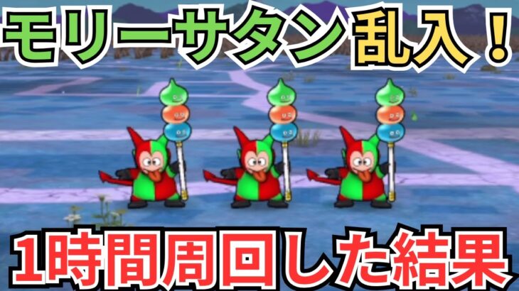 【ドラクエウォーク】モリーサタン乱入開始！1時間周回してみてわかったこと！