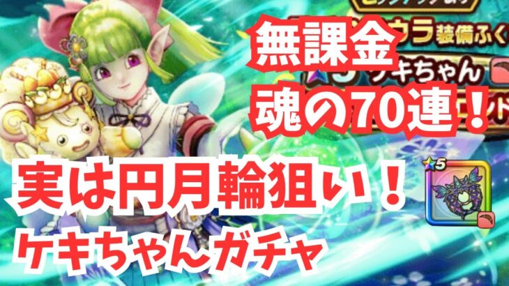【ドラクエウォーク】風乗りフウラ装備ガチャ70連！妖精の円月輪狙いでまさかの展開！？