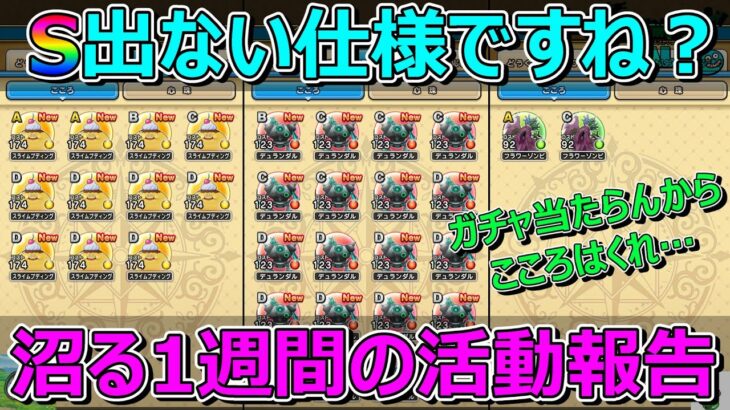 【ドラクエウォーク】仕様変更？何もS出ず沼り続けた1週間のプレイ状況報告！DQW活動報告！