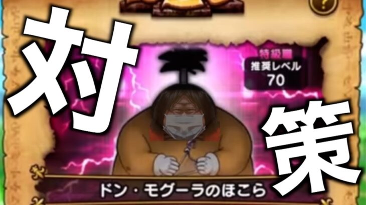【ドラクエウォーク】ドン・モグーラ事前作戦会議