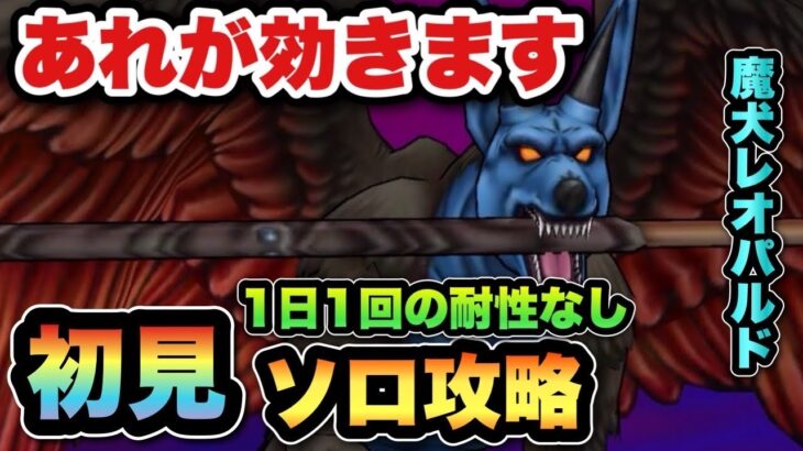 【ドラクエウォーク】まさかのあれが効きます！魔犬レオパルドを初見ソロ攻略！