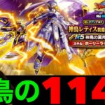 神鳥の翼斧１１４連で大空を自由に飛びたかった田んぼ勇者と運営【ドラクエウォーク】【ドラゴンクエストウォーク】