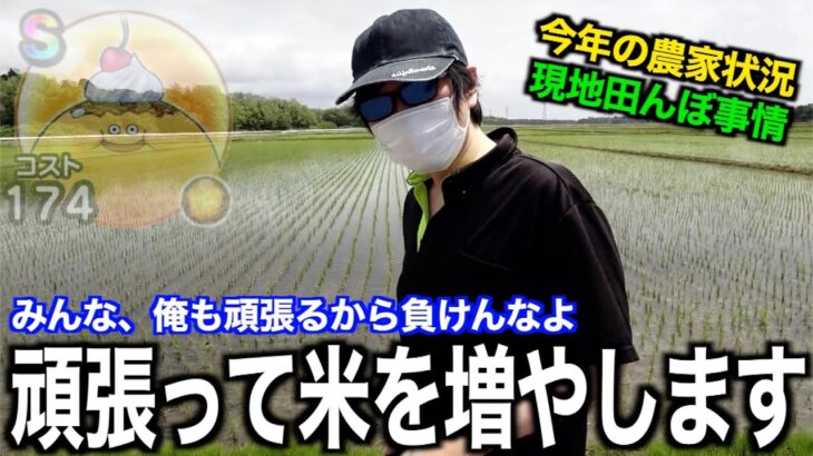 行け！田んぼ勇者！奇跡の実現を果たすプディング高確率確定巡り【ドラクエウォーク】【ドラゴンクエストウォーク】