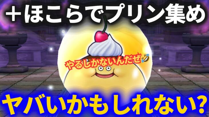 【ドラクエウォーク】＋ほこらでスライムプティングのこころ集めをしたらヤバすぎた！？【ドン・モグーラ】【ほこら】【プラス】