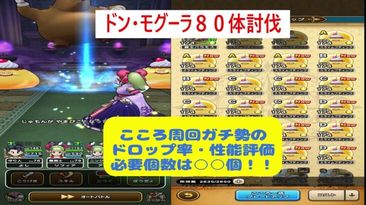 【ドラクエウォーク２４】ドン・モグーラ８０体討伐　こころ集めガチ勢の討伐ドロップ率、性能評価、必要個数紹介　確保個数は○○個がおすすめ