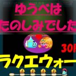 【ドラクエウォーク】ゆうべはおたのしみでしたね【30周目】
