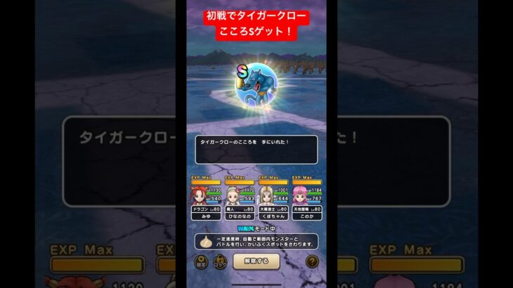 初戦でタイガークローこころSゲット！#ドラクエウォーク #タイガークロー