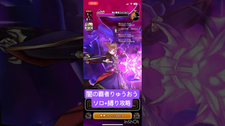 【ドラクエウォーク】闇の覇者りゅうおう 上級職+α ソロ攻略