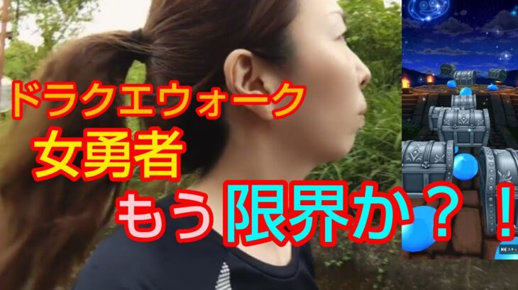 【ドラクエウォーク】さしみ限界か？『何もかもうまくいかない』
