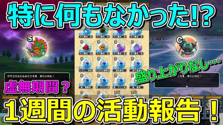 【ドラクエウォーク】特に何もなかったかも…。1週間の活動報告・プレイ状況共有！