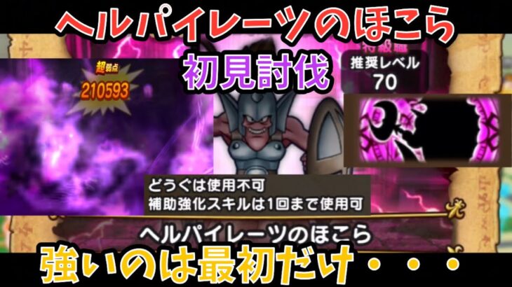 【ドラクエウォーク】ヘルパイレーツのほこら 初見討伐 正直青スキル1回でも楽過ぎる【ドラゴンクエストウォーク】