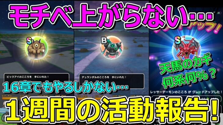 【ドラクエウォーク】モチベ低下中な1週間の活動報告！プレイ状況共有です！全部低調…でも16章は！？