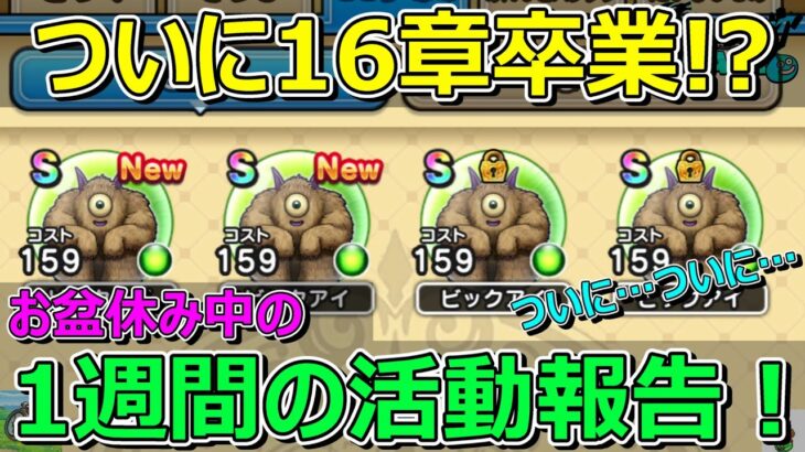 【ドラクエウォーク】お盆休み中の活動報告！プレイ状況共有！ついに16章卒業か！？デュランダルも！？