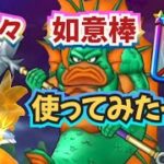 【ドラクエウォーク】【DQW】みんドラさんで如意棒がオススメされてたから久々〜かめはめしてみた〜っ！夏だけどグラコロ！