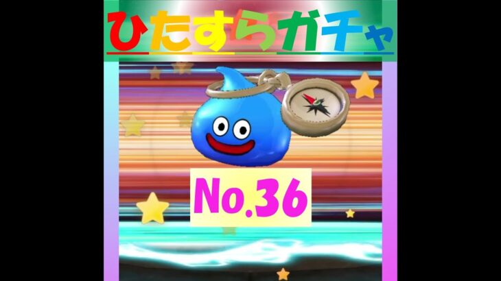 【ドラクエウォーク】ひたすらガチャ【No.36】～あぶない水着’25～
