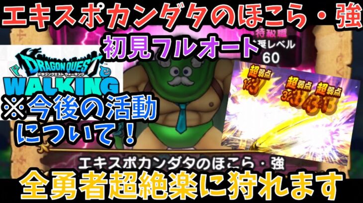 【ドラクエウォーク】※ほぼ毎日投稿期間！ エキスポカンダタのほこら・強 初見フルオート討伐 今後の活動にて最大の決心しました【ドラゴンクエストウォーク】
