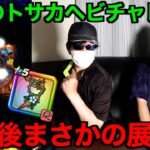 復刻ガチャ後半とラストブルフィオーレに賭けた結果【ドラクエウォーク】【ドラゴンクエストウォーク】