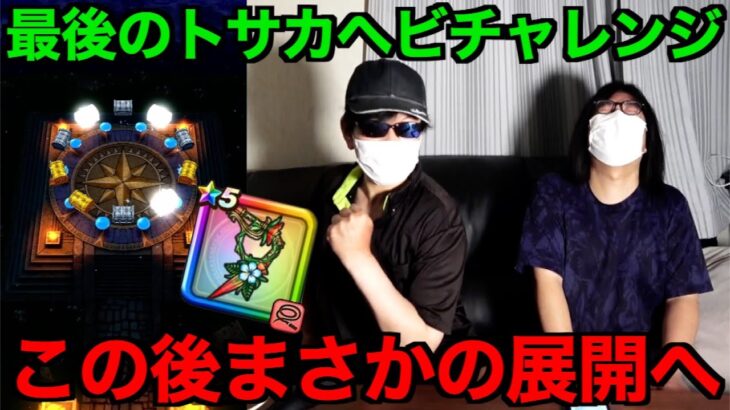 復刻ガチャ後半とラストブルフィオーレに賭けた結果【ドラクエウォーク】【ドラゴンクエストウォーク】