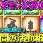 【ドラクエウォーク】新なかまモンスターがおかしいぞ？再び地獄？な1週間の活動報告！プレイ状況共有！