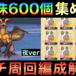 【ドラクエウォーク】初週で心珠600個！ガチ周回編成解説 夜ver【アークデーモン＆ワイトキング覚醒千里行】
