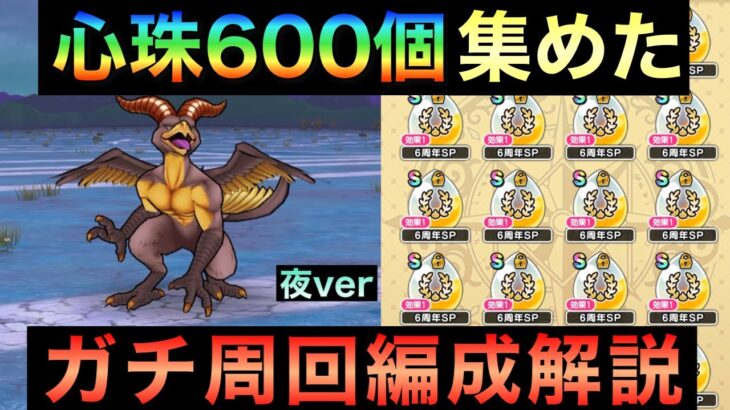 【ドラクエウォーク】初週で心珠600個！ガチ周回編成解説 夜ver【アークデーモン＆ワイトキング覚醒千里行】