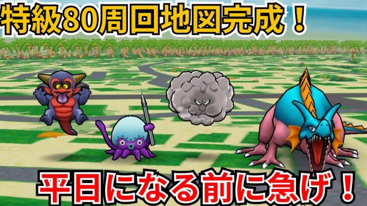 【ドラクエウォーク】特級80周回地図爆誕！平日になる前に急いで回収！