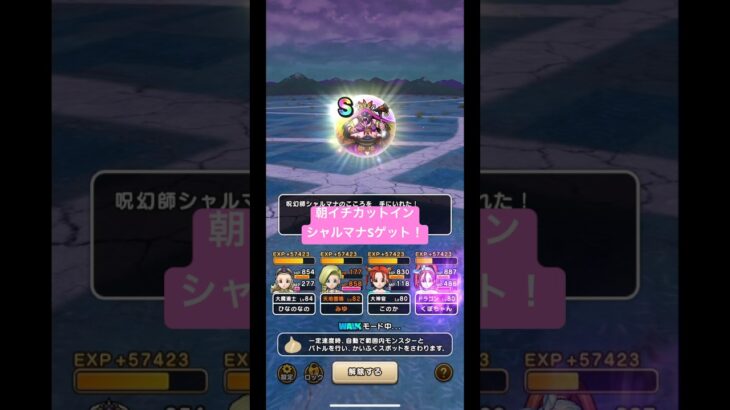 朝イチカットイン【シャルマナ】Sゲット！#ドラクエウォーク #覚醒千里行 #シャルマナ