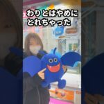 ドラクエのビッグぬいぐるみを発見！ドラキーをとって自宅に飾った結果…！？【#Shorts】