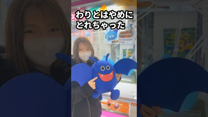 ドラクエのビッグぬいぐるみを発見！ドラキーをとって自宅に飾った結果…！？【#Shorts】