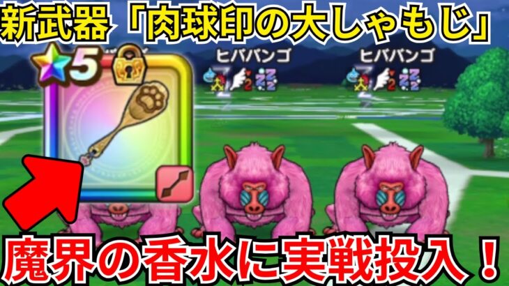 【ドラクエウォーク】新武器「肉球印の大しゃもじ」を実戦投入！使用感や補助武器として、火力武器として使ってみました！