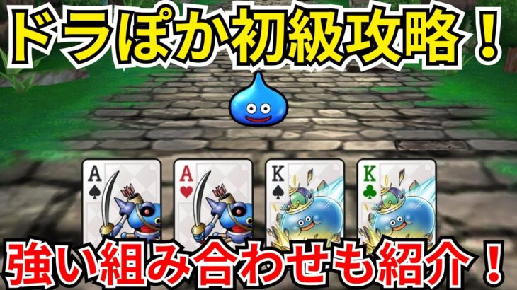 【ドラクエウォーク】ドラぽか初級攻略！助っ人の強い組み合わせも一部紹介！
