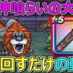 【ドラクエウォーク】ラゴンヌのほこらでただ神喰らいの大剣を振り回すだけの動画！フルオート！