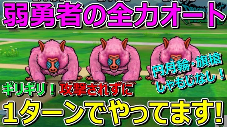【ドラクエウォーク】ヒババンゴ！弱勇者の全力オート1ターン！ギリ攻撃されません！