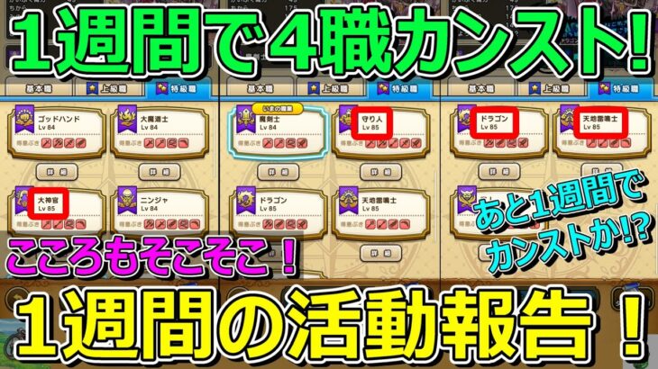 【ドラクエウォーク】一気にカンストでもうすぐ全員全職カンストな1週間の活動報告！プレイ状況共有！