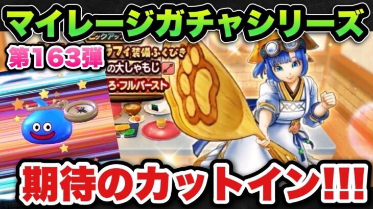【ドラクエウォーク】このカットインはある！？マイレージガチャシリーズ第163弾！