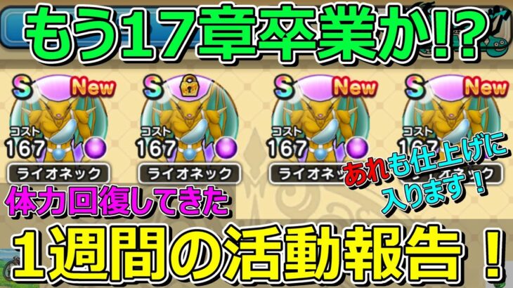 【ドラクエウォーク】もう17章卒業！？仕上げに入ります！1週間の活動報告・プレイ状況共有！