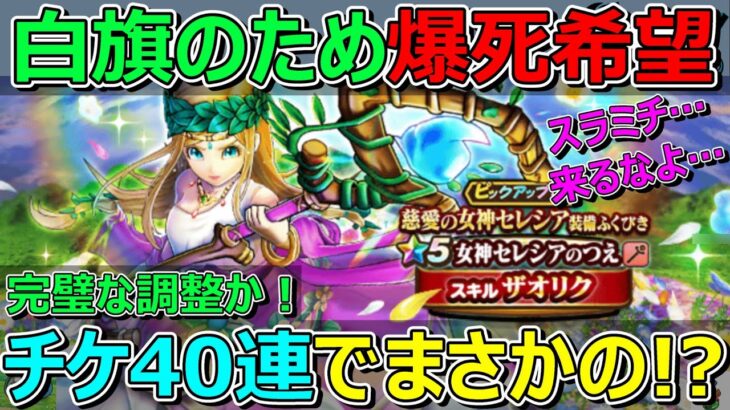 【ドラクエウォーク】白旗ほしいからセレシアはチケット40連爆死希望！これこそが完璧な調整か！？