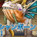 【ドラクエウォークLive】グラマス連覇に向けてオーシャンボーン使ってみます