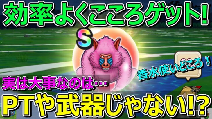 【ドラクエウォーク】ヒババンゴこれで直S！効率いいオススメの集め方！武器以外の大事なこととは！？