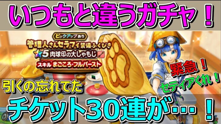 【ドラクエウォーク】緊急！しゃもじガチャ結果を報告いたします。いつもと違うガチャ動画です！